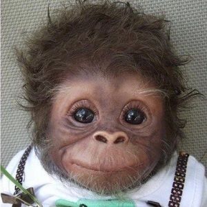 Meet your Posher, Markia